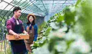 Petani Milenial (foto/theasianparent.com)