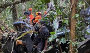 Evakuasi korban jatuhnya Helikopter Bell 429 PK-WSW di hutan Halmahera. (Foto. Ist.)