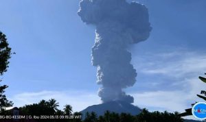 Gunung Ibu di Pulau Halmahera Maluku Utara kembali erupsi, Senin (13/5/2024), pukul 09.12 WIT. ( Dok PVMBG)